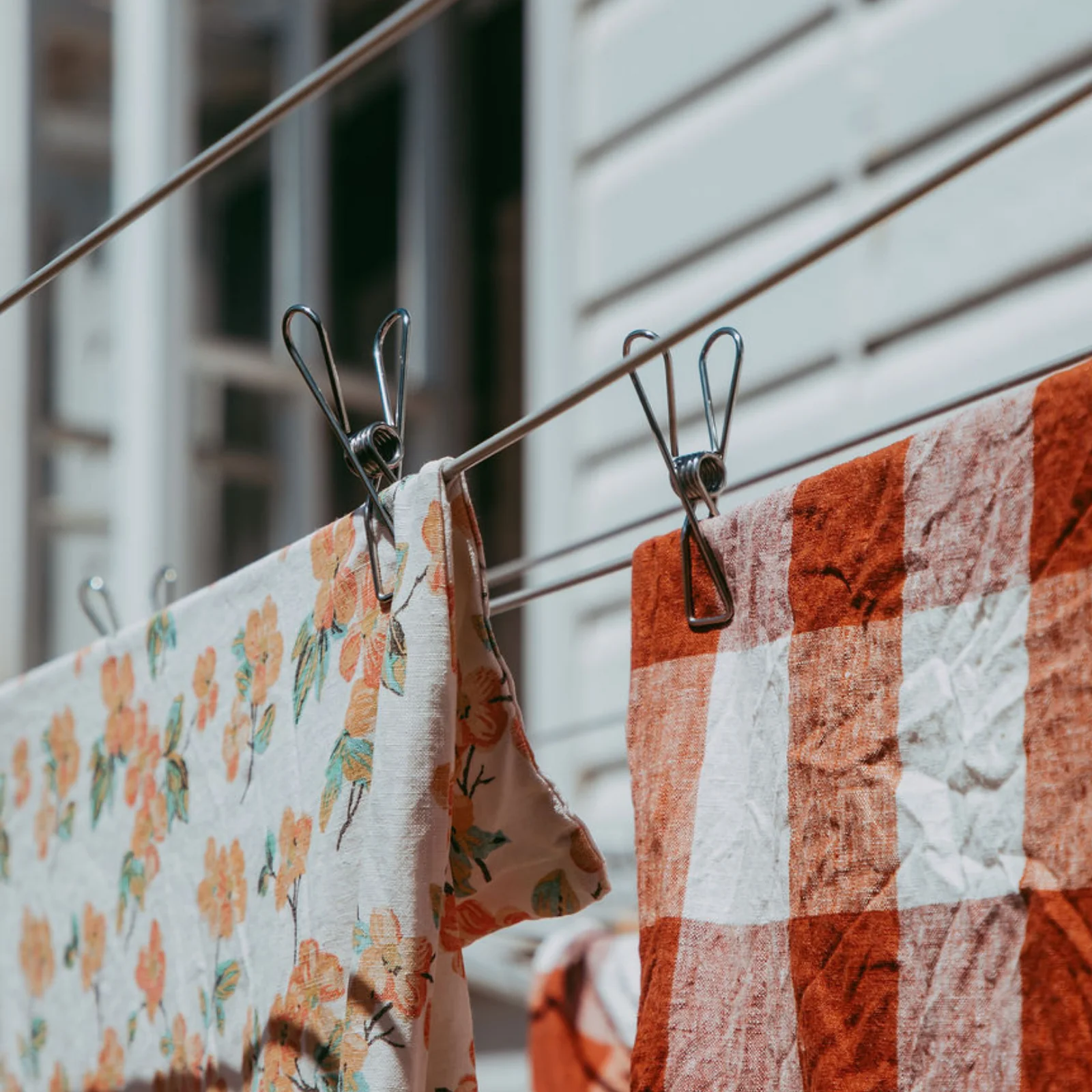 Stainless Steel Eco Pegs - Silver - Image 3