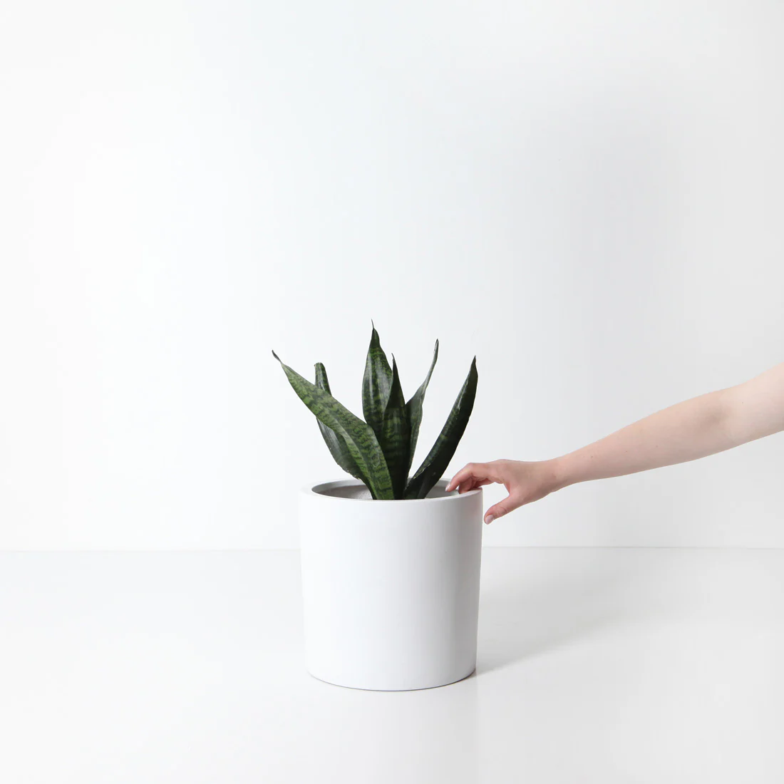 Bondi Plant Pot - White - Image 3