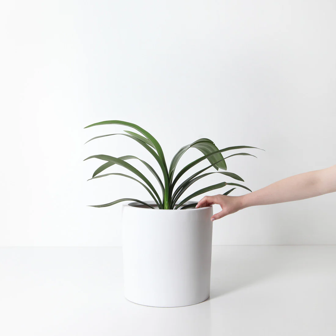 Bondi Plant Pot - White - Image 4