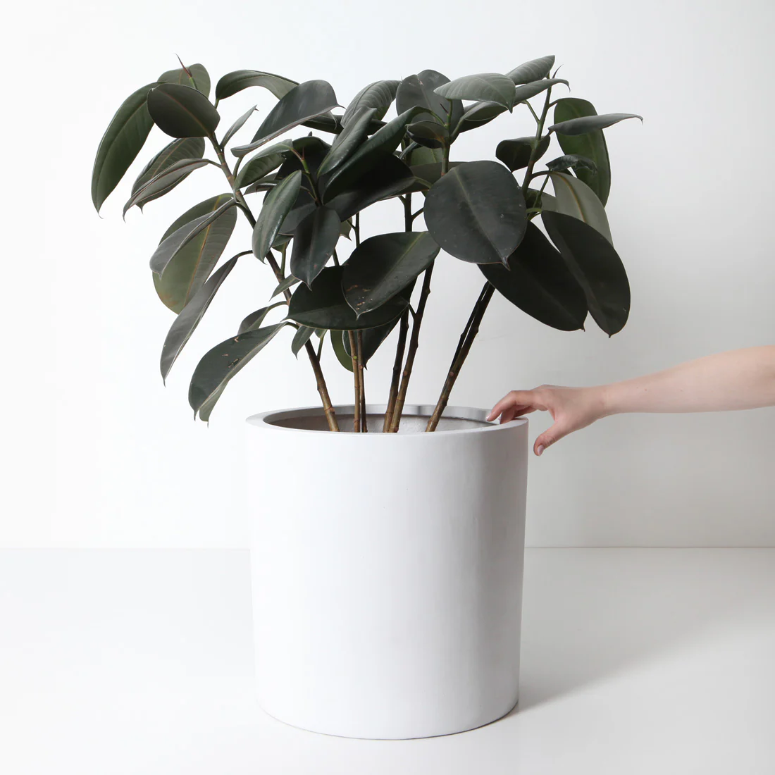 Bondi Plant Pot - White - Image 5