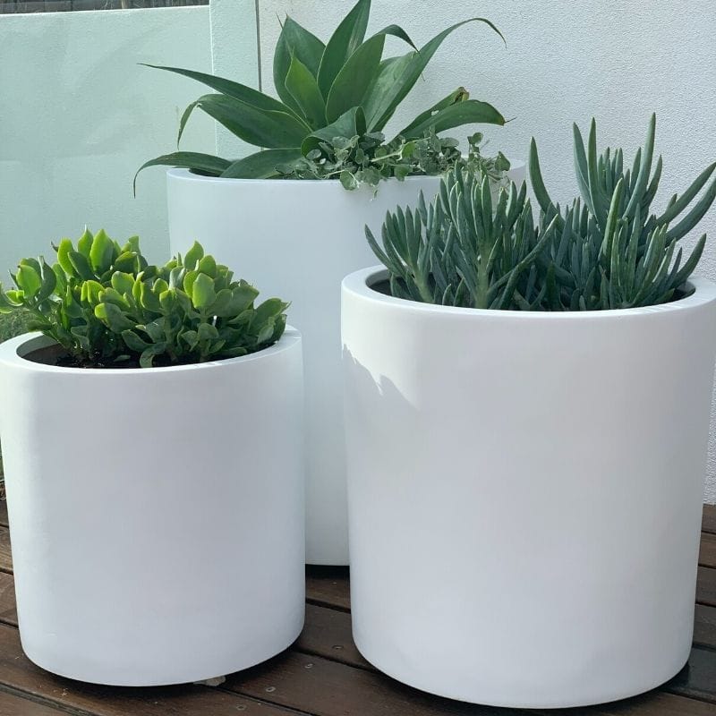 Bondi Plant Pot - White - Image 9
