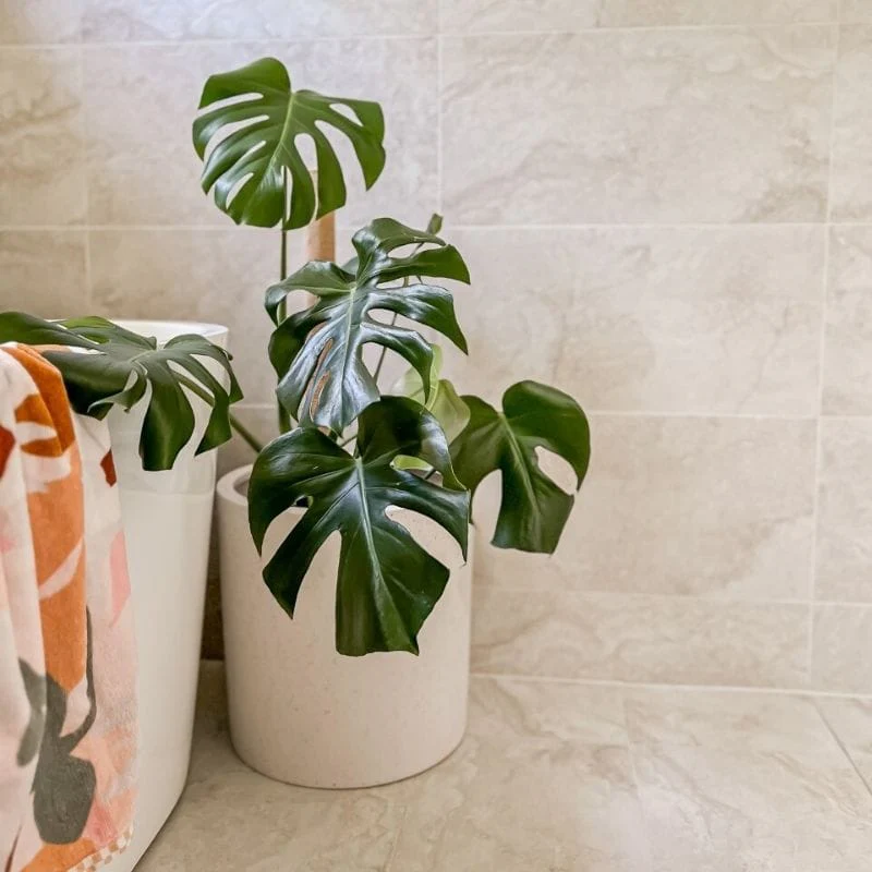 Bondi Plant Pot - White Terrazzo - Image 10