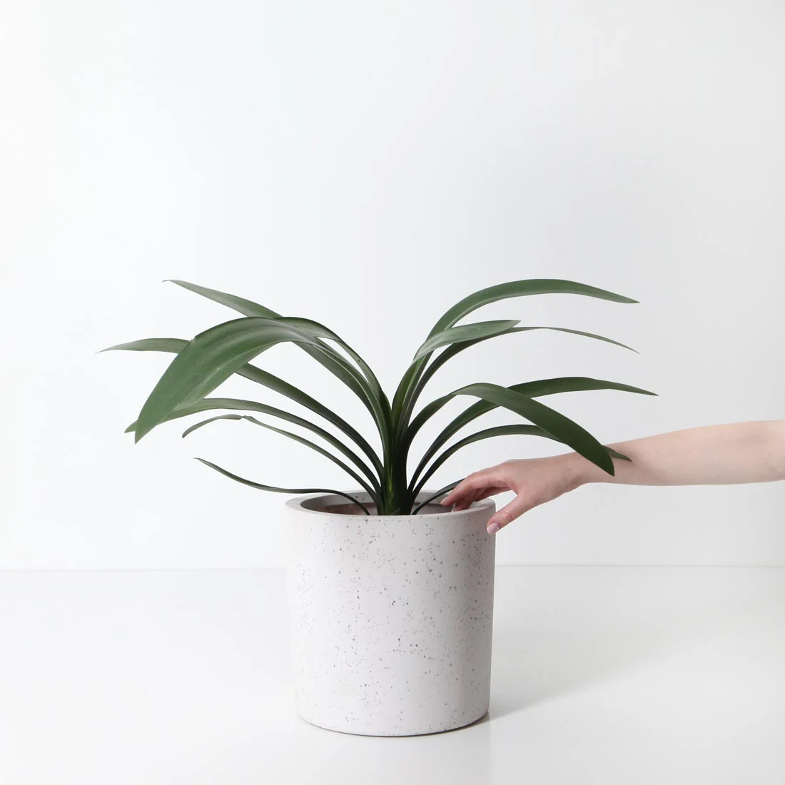 Bondi Plant Pot - White Terrazzo - Image 3