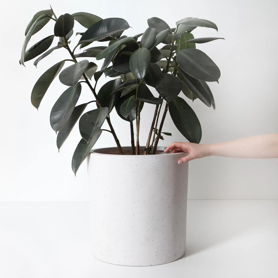 Bondi Plant Pot - White Terrazzo - Image 5