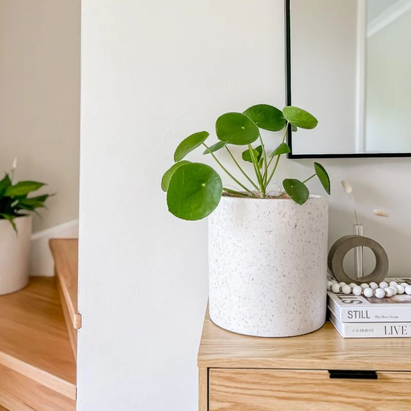 Bondi Plant Pot - White Terrazzo - Image 6