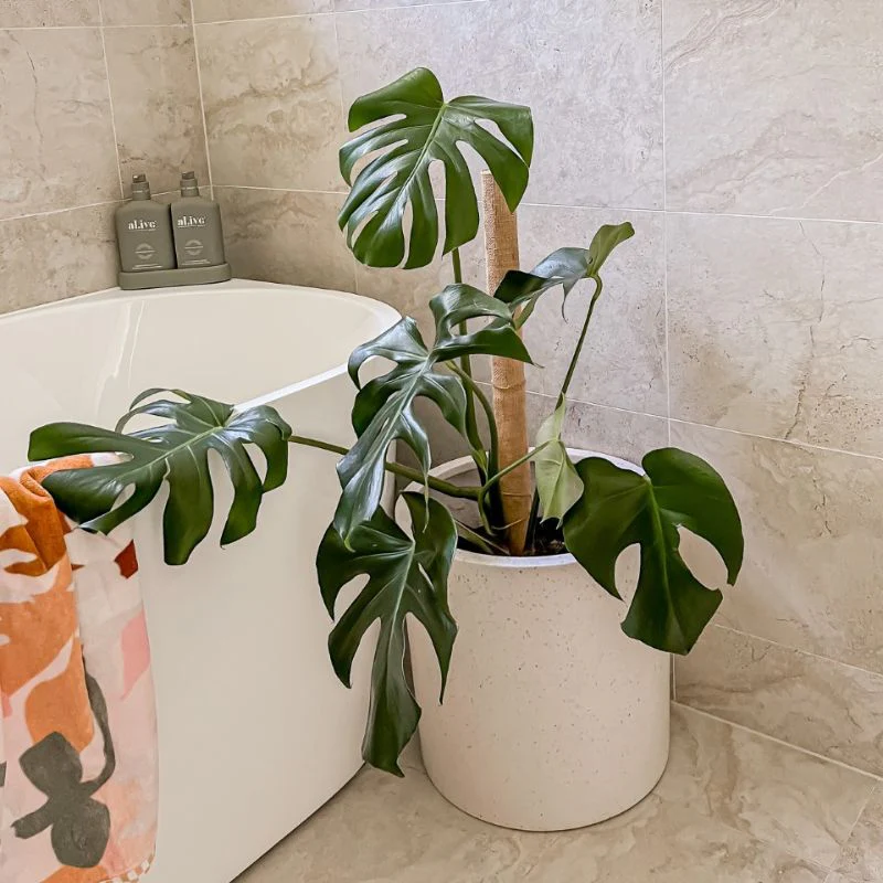 Bondi Plant Pot - White Terrazzo - Image 7