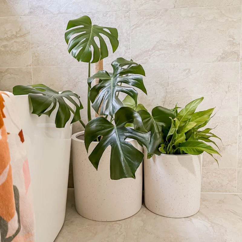 Bondi Plant Pot - White Terrazzo - Image 8