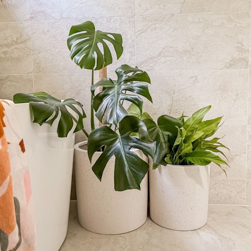 Bondi Plant Pot - White Terrazzo - Image 9