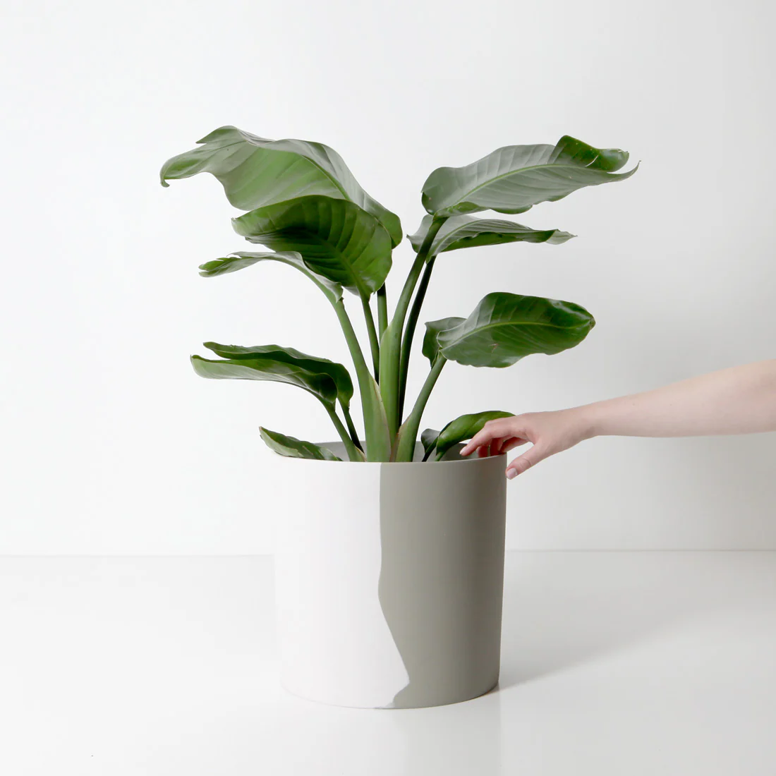 Byron Plant Pot - White Sage - Image 3