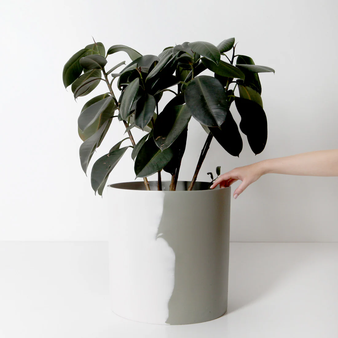 Byron Plant Pot - White Sage - Image 4