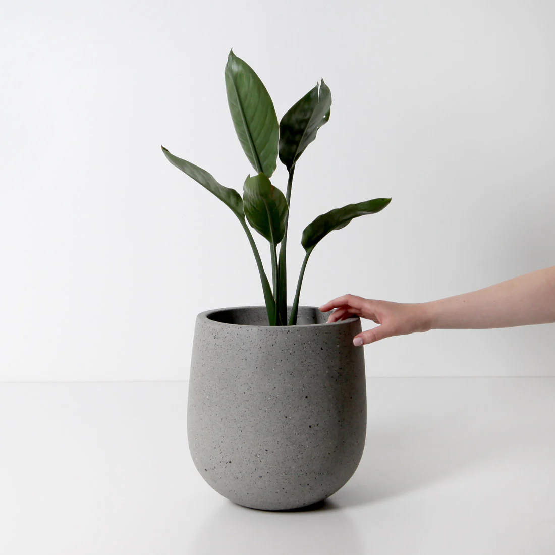 Laguna Plant Pot - Grey Terrazzo - Image 3