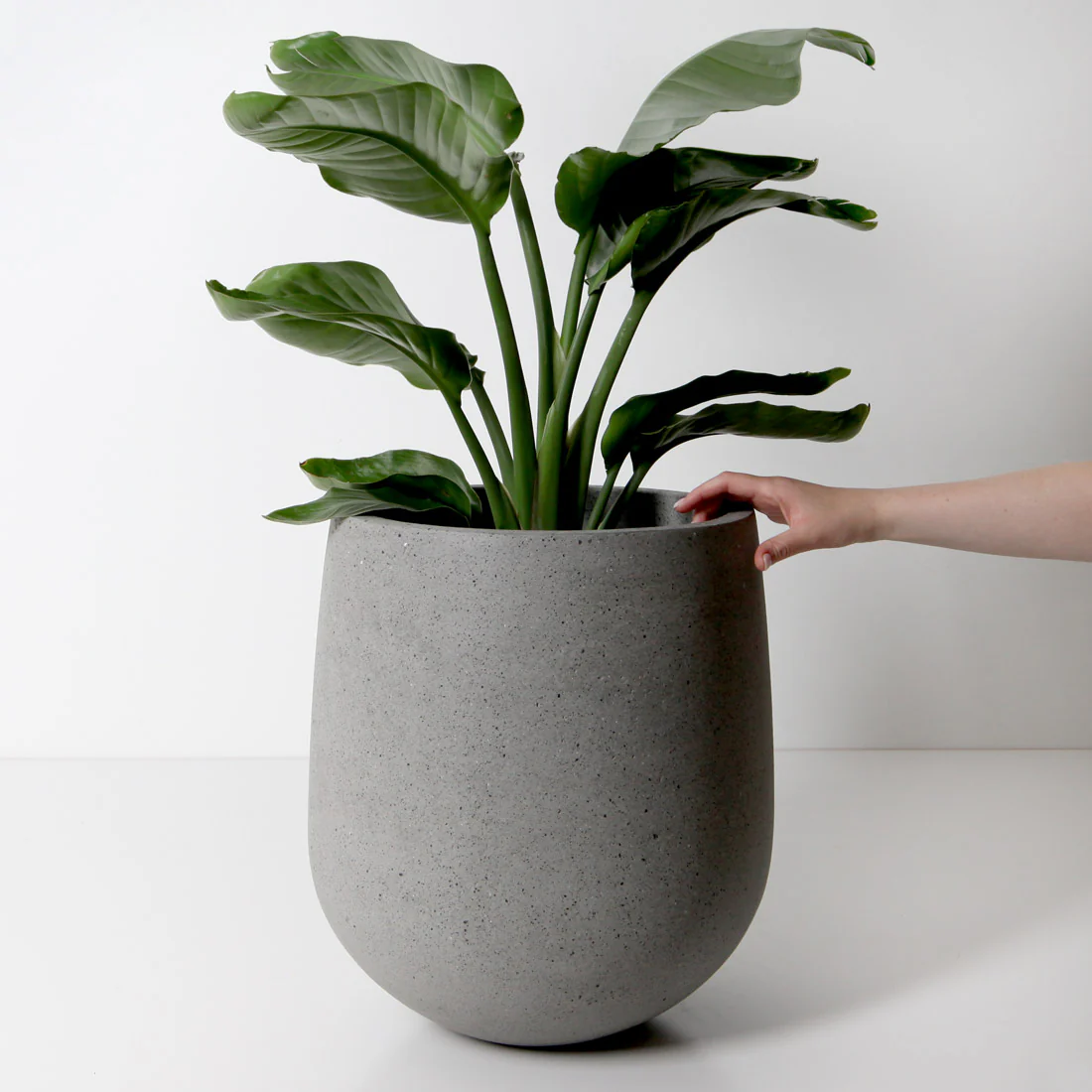 Laguna Plant Pot - Grey Terrazzo - Image 4