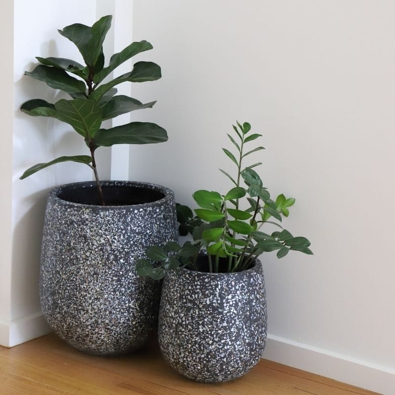 Malibu Plant Pot - Charcoal Seashell - Image 10