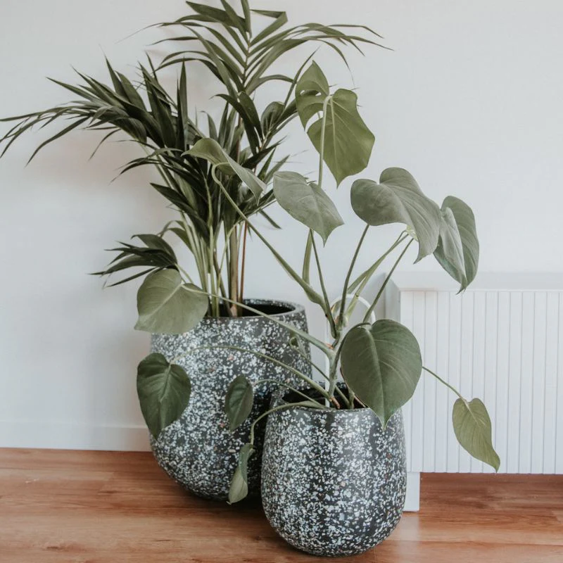 Malibu Plant Pot - Charcoal Seashell - Image 11