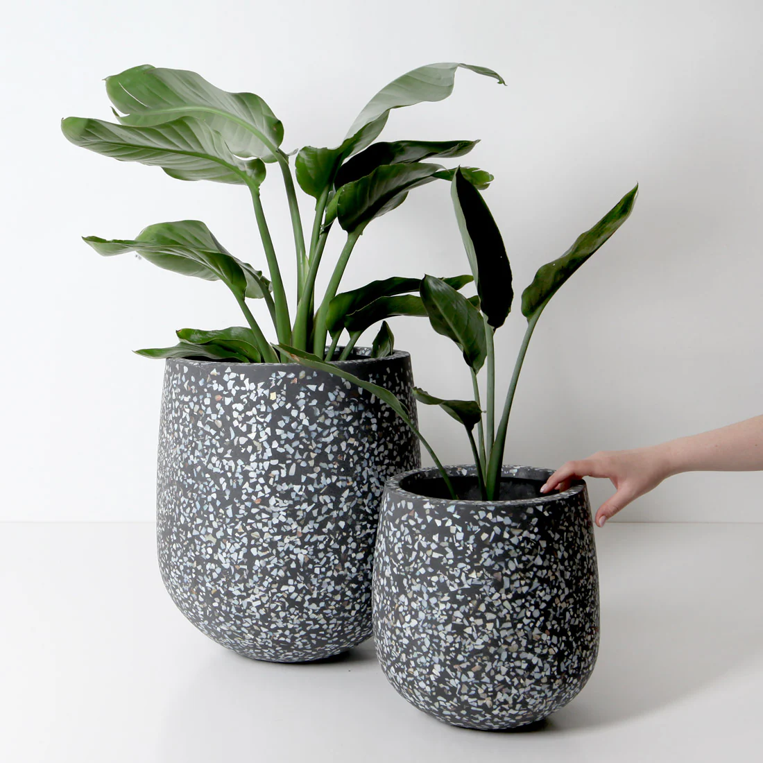 Malibu Plant Pot - Charcoal Seashell - Image 16