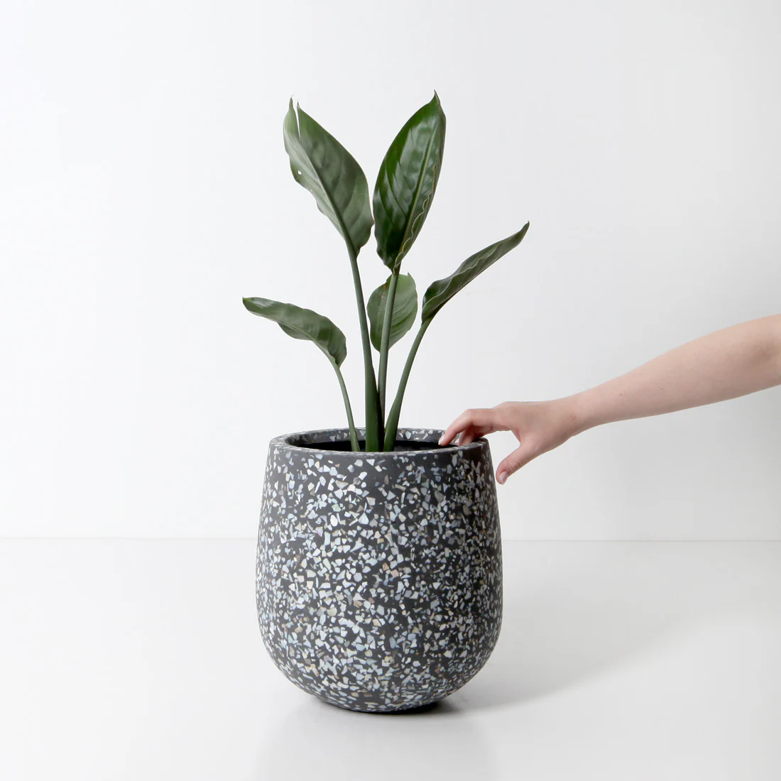 Malibu Plant Pot - Charcoal Seashell - Image 3