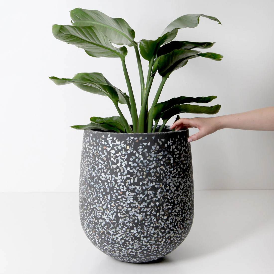 Malibu Plant Pot - Charcoal Seashell - Image 4