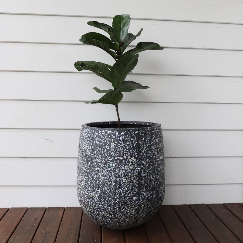 Malibu Plant Pot - Charcoal Seashell - Image 6