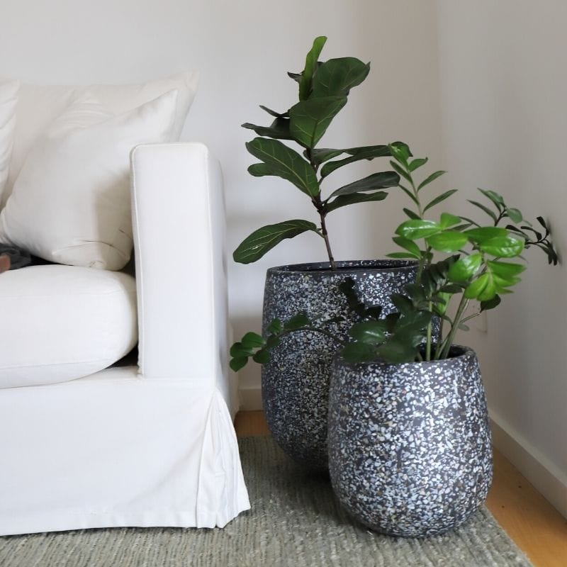 Malibu Plant Pot - Charcoal Seashell - Image 7