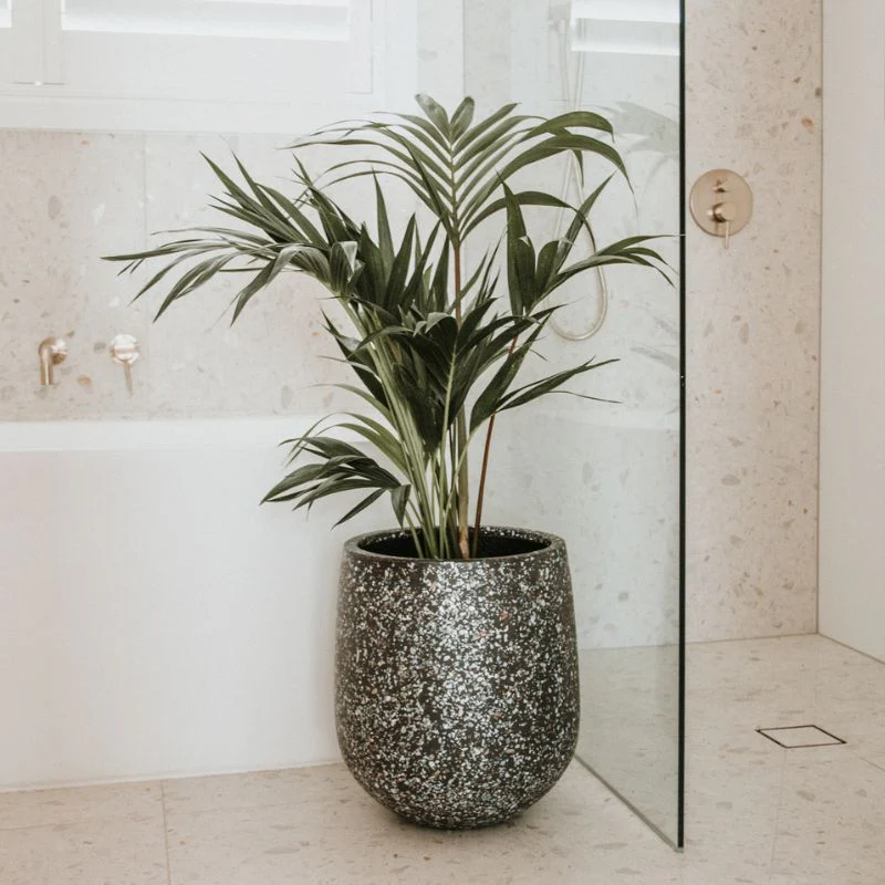 Malibu Plant Pot - Charcoal Seashell - Image 8