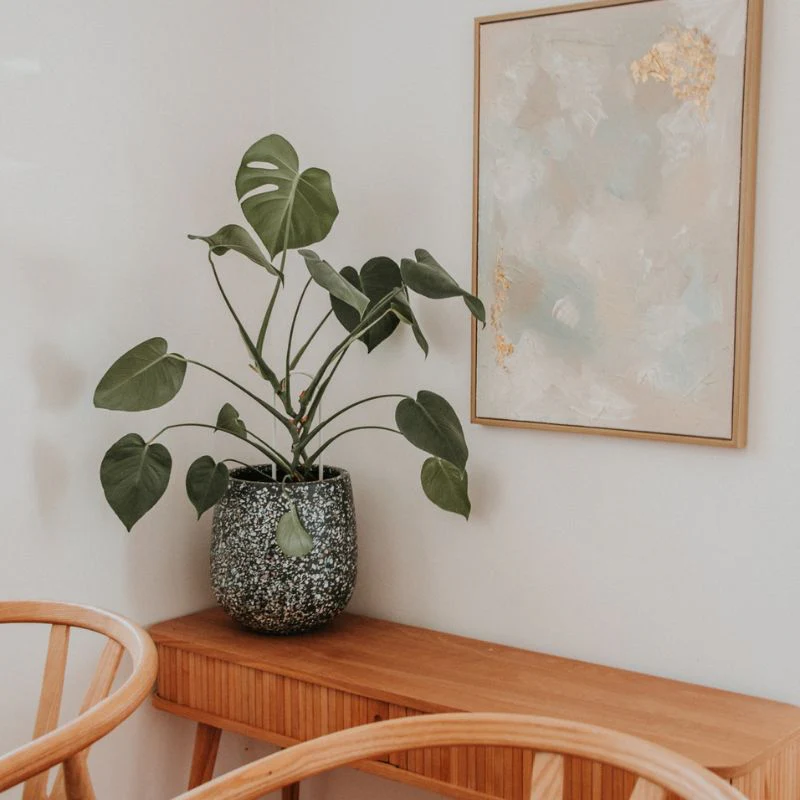 Malibu Plant Pot - Charcoal Seashell - Image 9