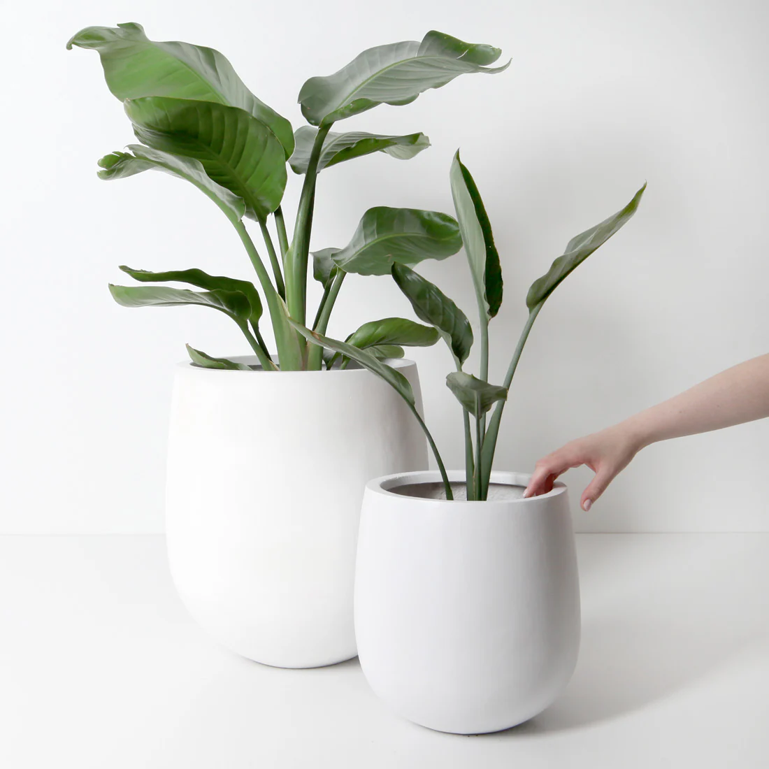 Malibu Plant Pot - White - Image 15
