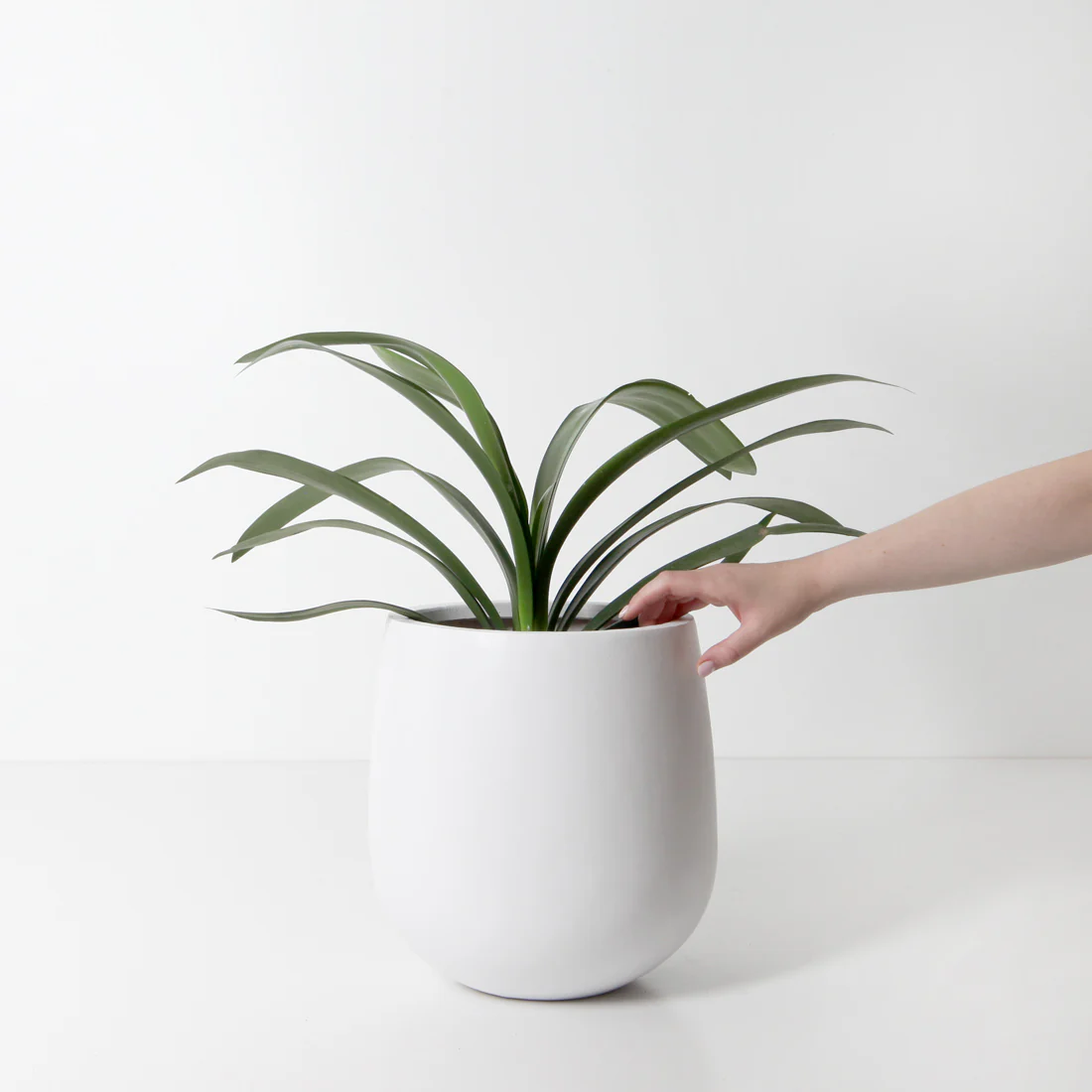 Malibu Plant Pot - White - Image 3