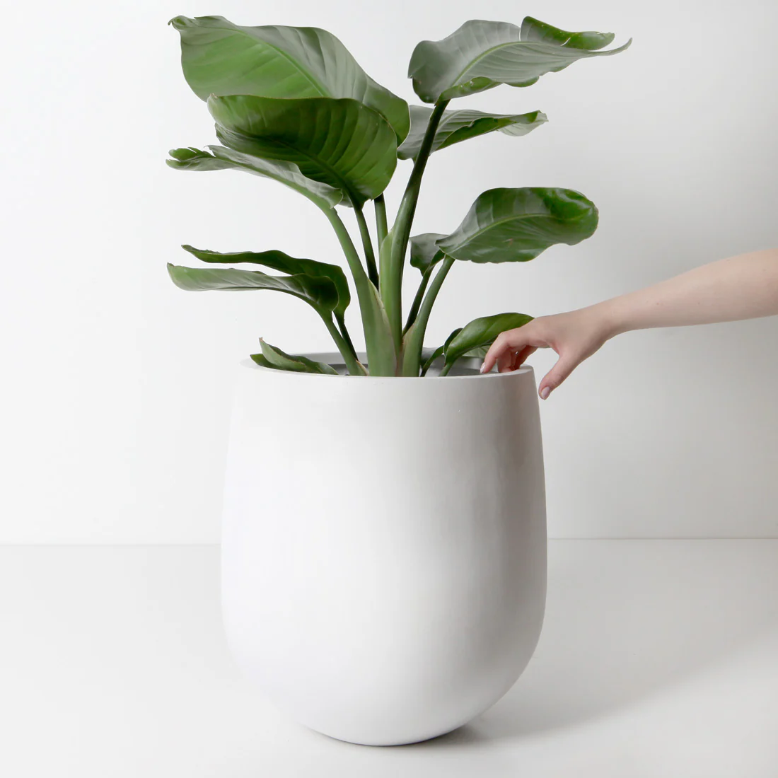 Malibu Plant Pot - White - Image 4