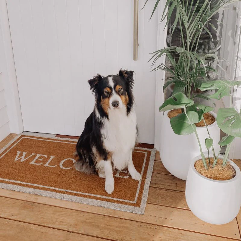 Malibu Plant Pot - White - Image 6
