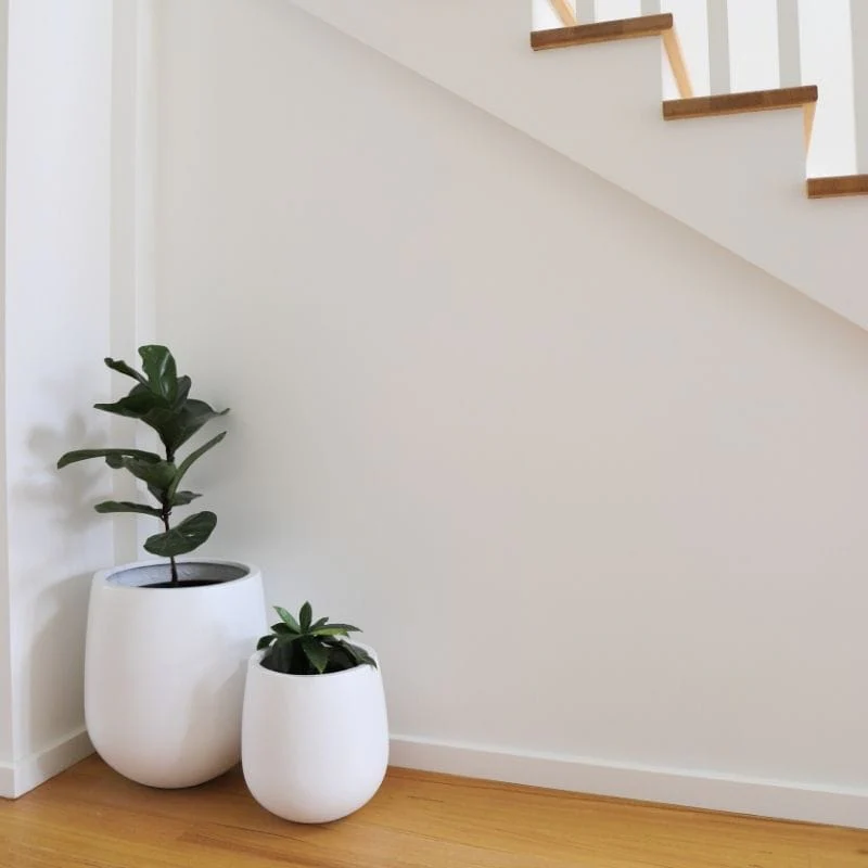 Malibu Plant Pot - White - Image 9