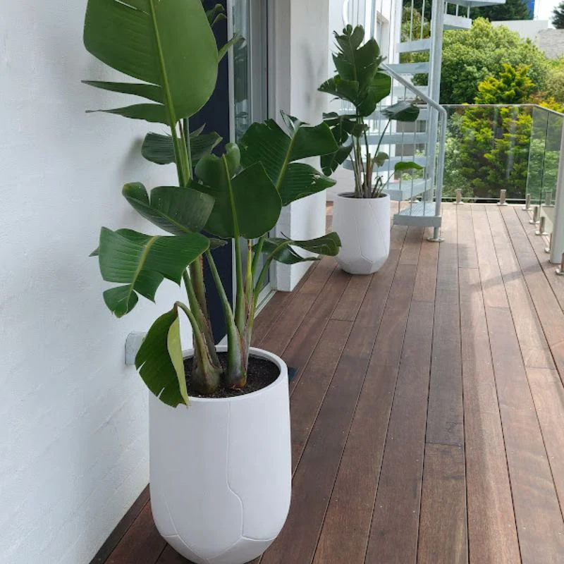 Noosa Plant Pot - White - Image 10
