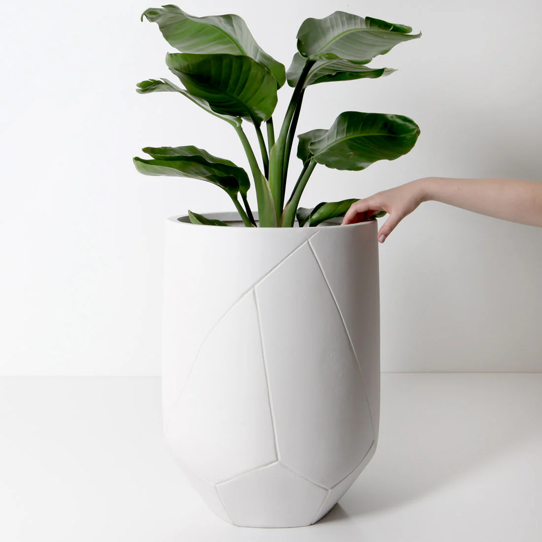 Noosa Plant Pot - White - Image 4