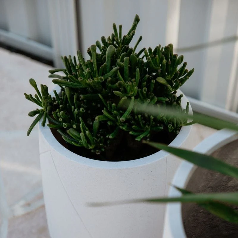 Noosa Plant Pot - White - Image 9