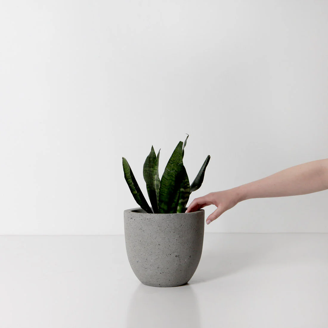 Rio Plant Pot - Grey Terrazzo - Image 3