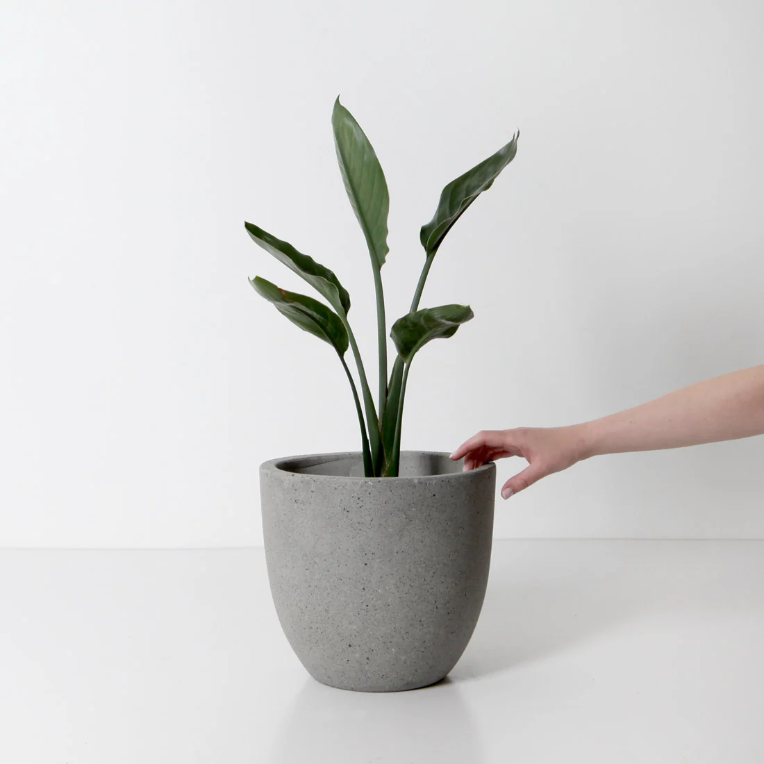 Rio Plant Pot - Grey Terrazzo - Image 4