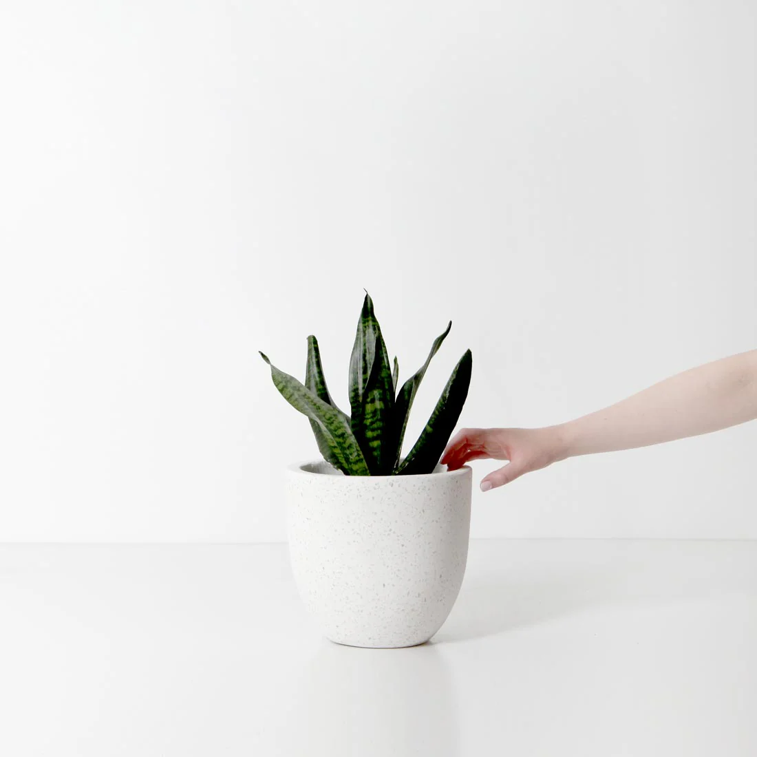Rio Plant Pot - White Terrazzo - Image 3