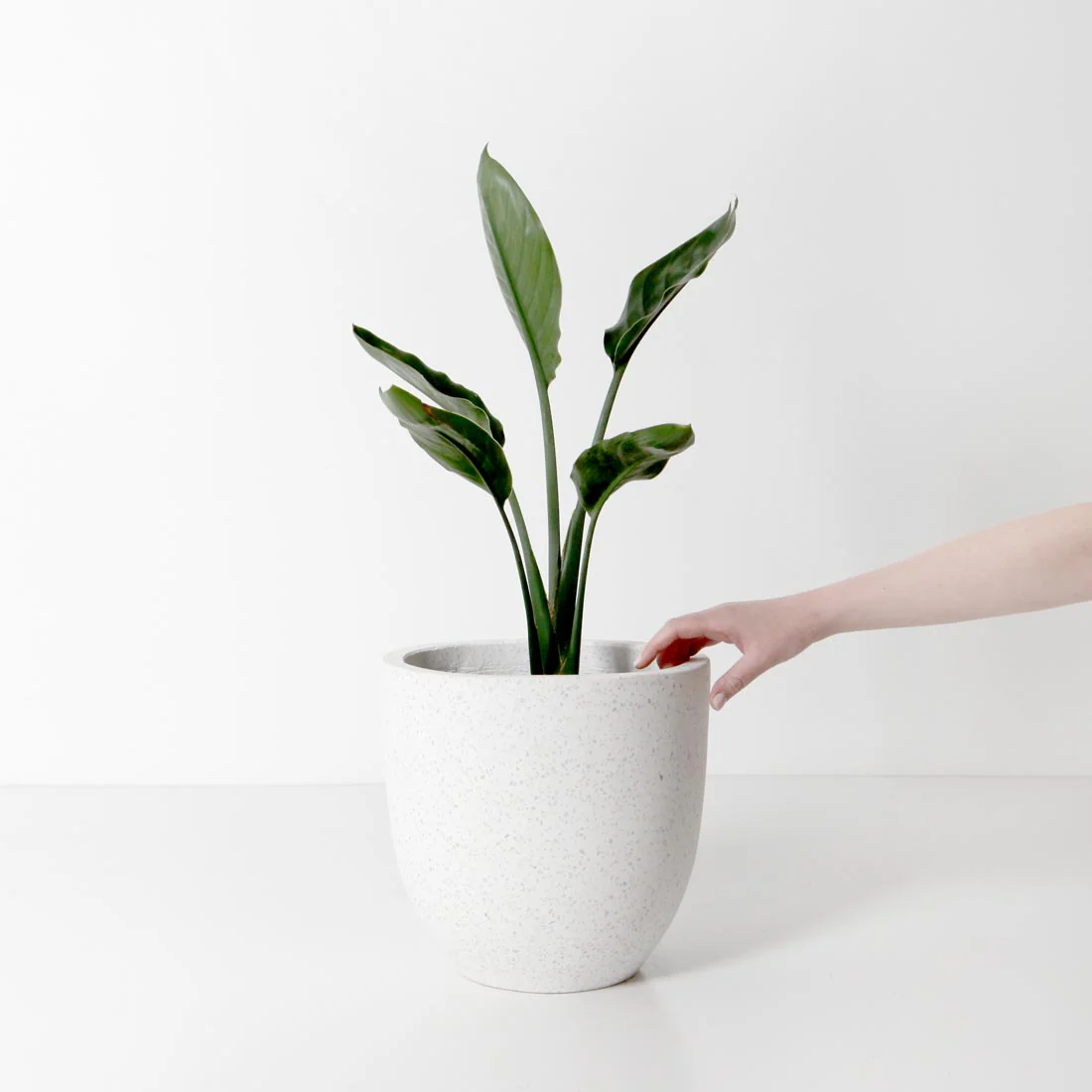 Rio Plant Pot - White Terrazzo - Image 4