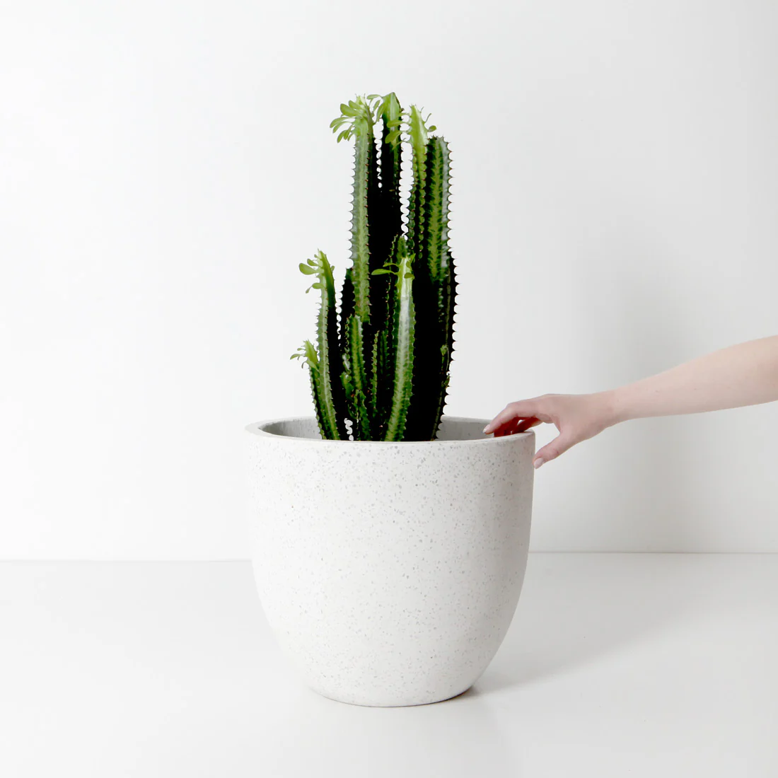 Rio Plant Pot - White Terrazzo - Image 5