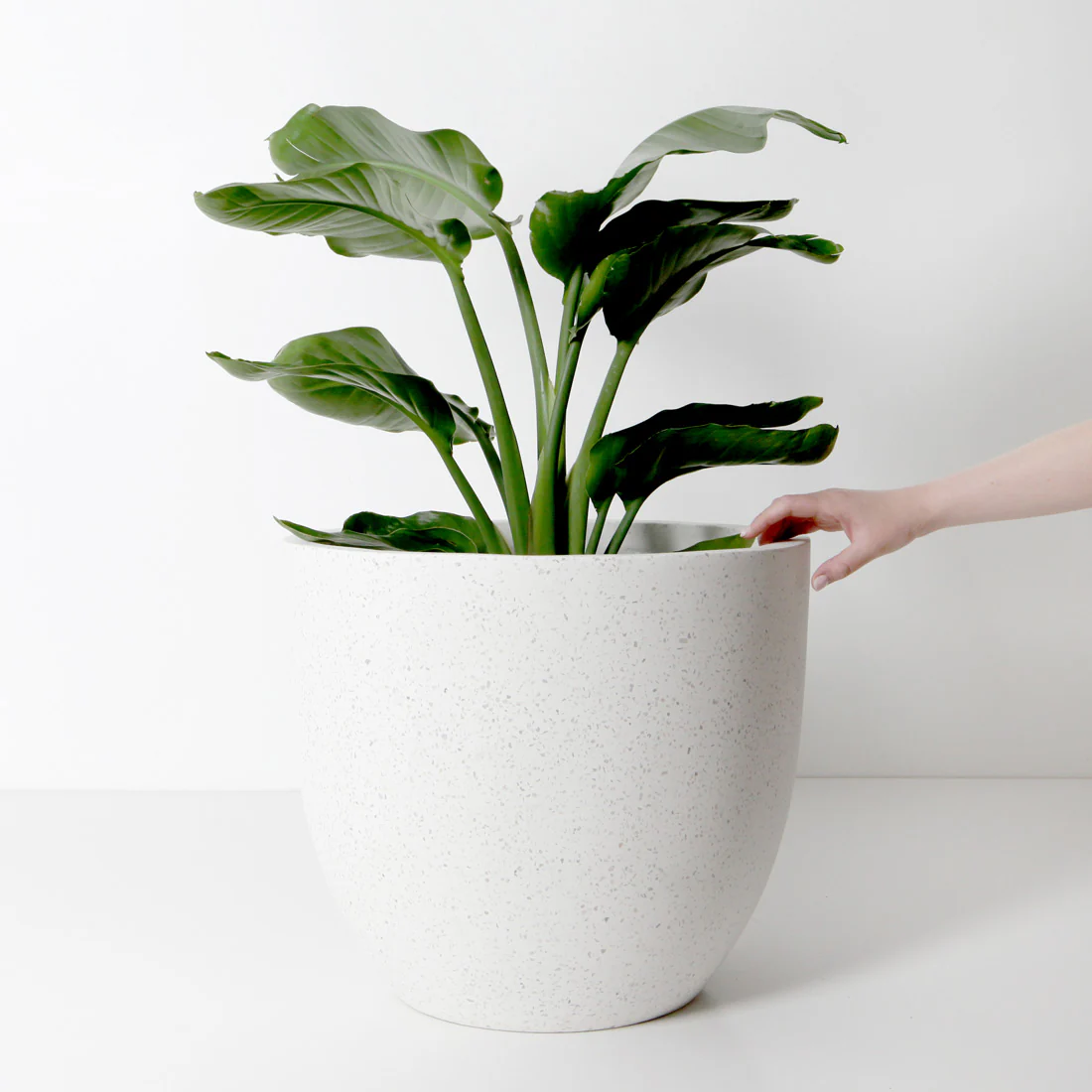Rio Plant Pot - White Terrazzo - Image 6