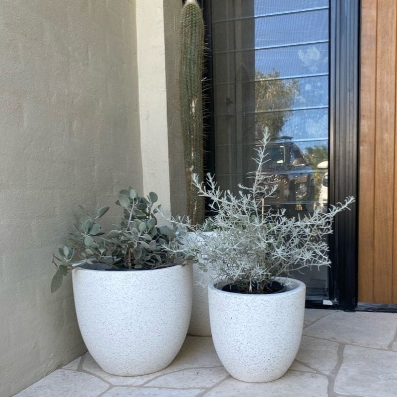 Rio Plant Pot - White Terrazzo - Image 8