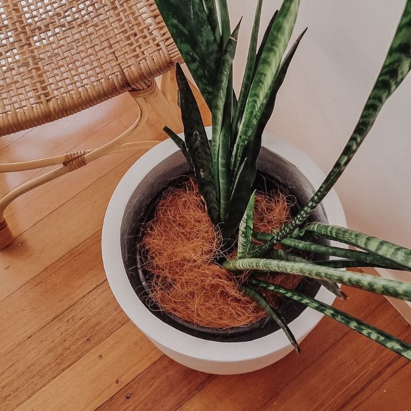 Santorini Plant Pot - White - Image 11