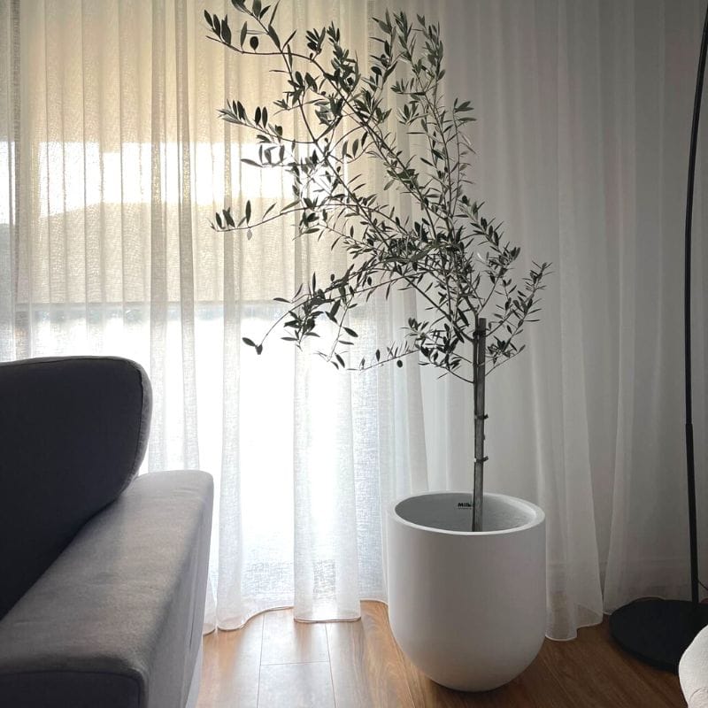 Santorini Plant Pot - White - Image 12