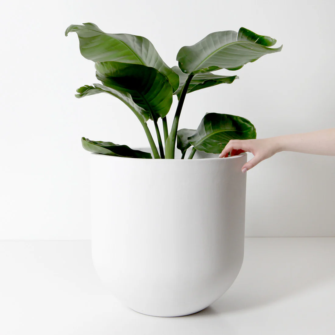 Santorini Plant Pot - White - Image 4