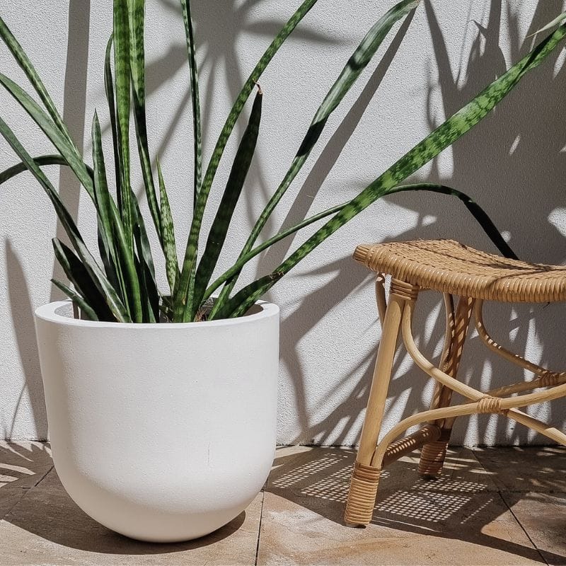 Santorini Plant Pot - White - Image 7