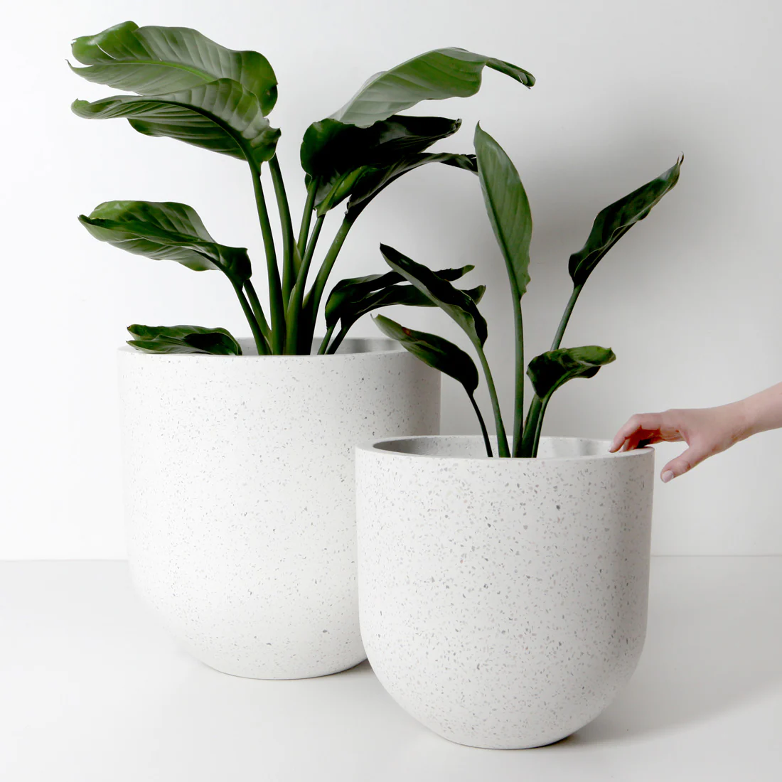 Santorini Plant Pot - White Terrazzo - Image 14