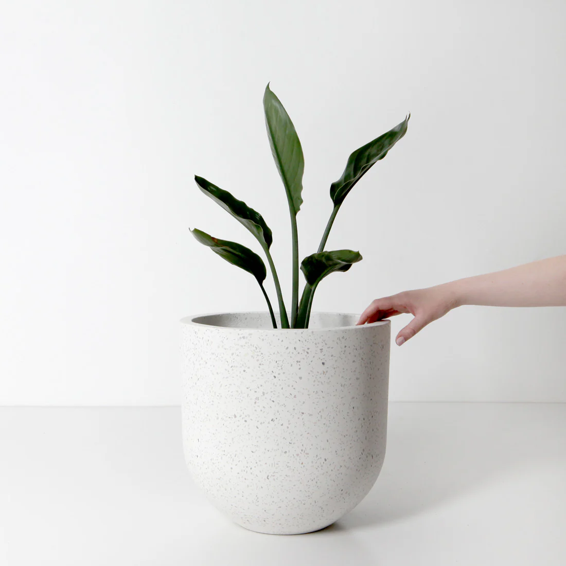 Santorini Plant Pot - White Terrazzo - Image 3