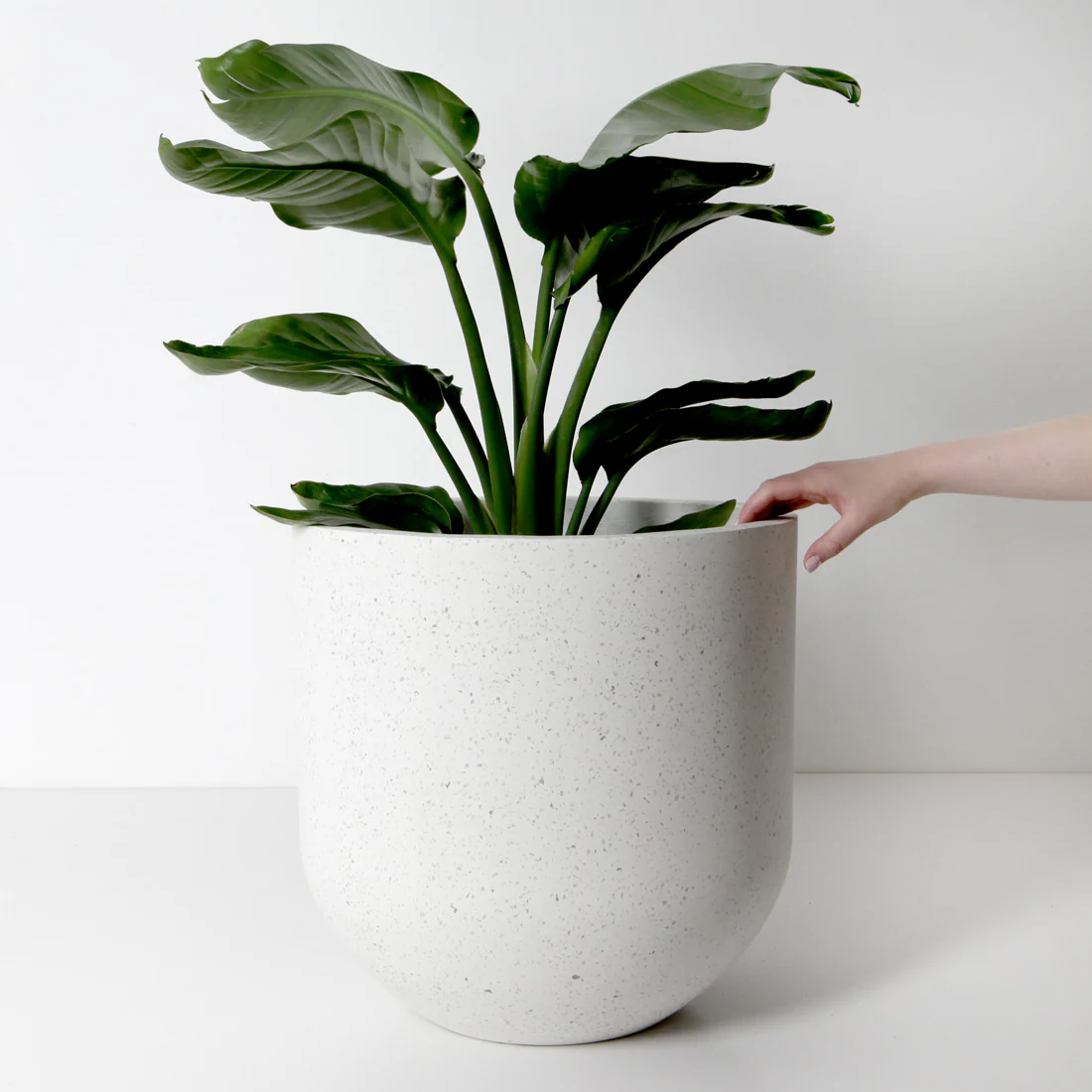 Santorini Plant Pot - White Terrazzo - Image 4